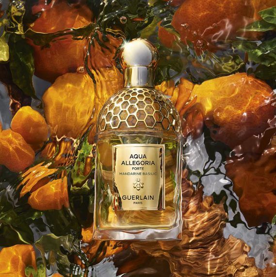 Aqua Allegoria Forte Mandarine Basilic - Eau de Parfum